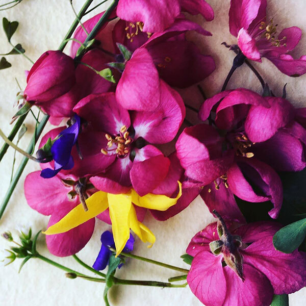 Purple orchids on flat surface.